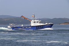 Astelena2